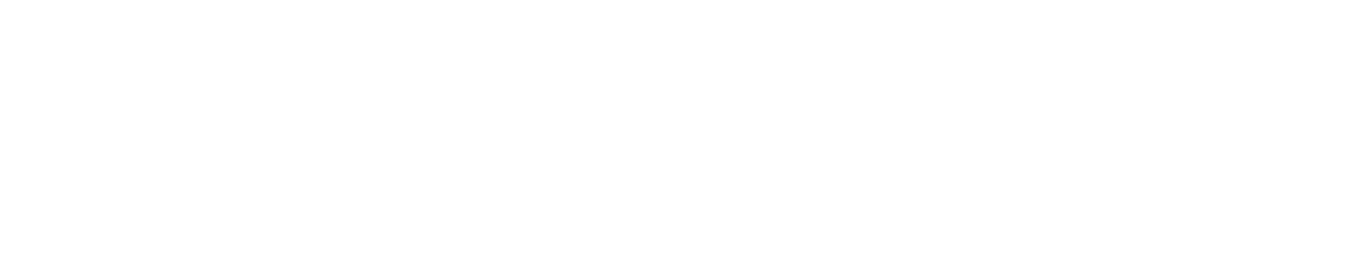 BlueDigital Hub